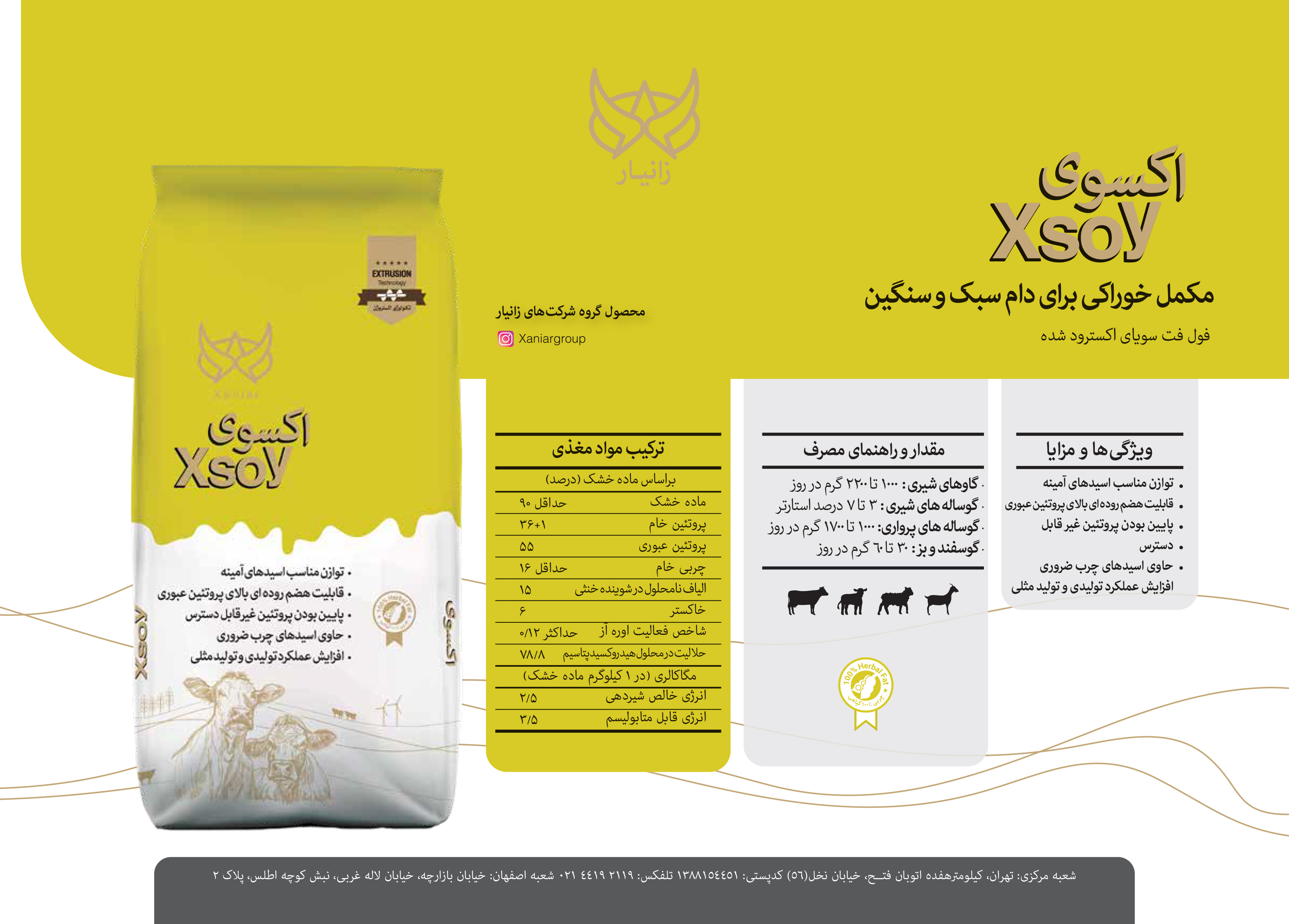 اکسوی